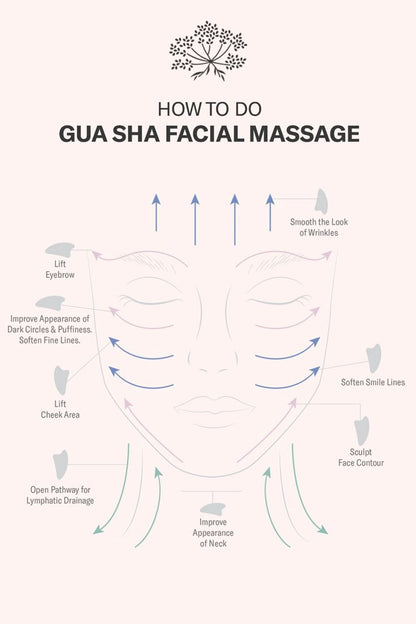 MEFU Jade Roller & Gua Sha Set
